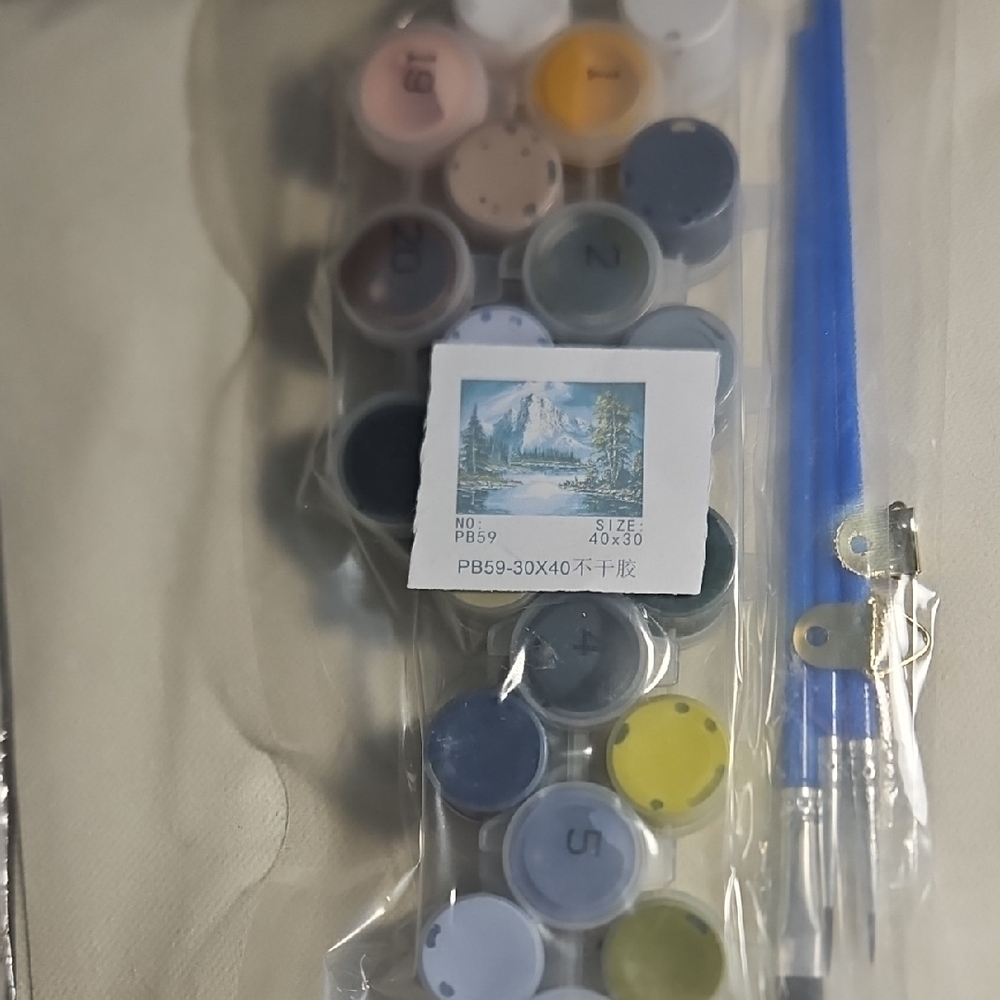 Paint by Numbers Kit with Brushes